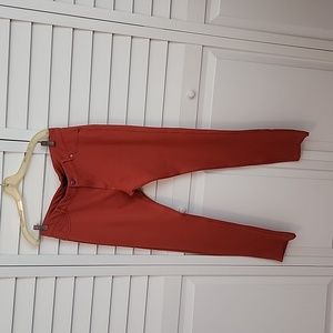 Shinesdar Burnt Orange pants